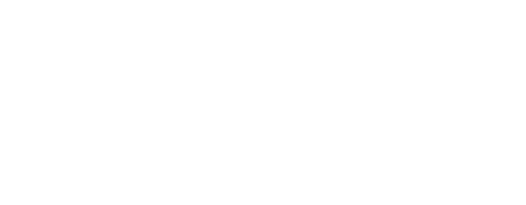 nulok Wordmark in white